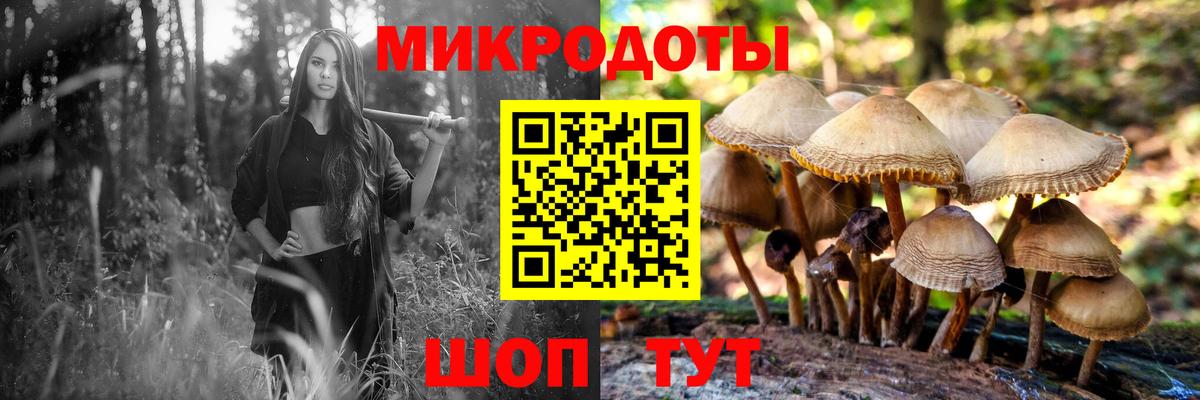Галлюциногенные грибы Magic Shrooms Кизилюрт
