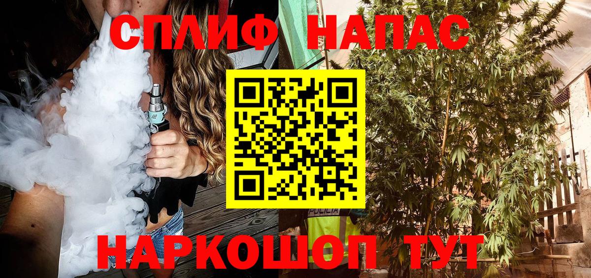 Бошки Шишки SATIVA & INDICA  Бошки марихуана VHQ  Вход с VPN  Каннабис AK-47  Кизилюрт  Бошки марихуана Bruce Banner 